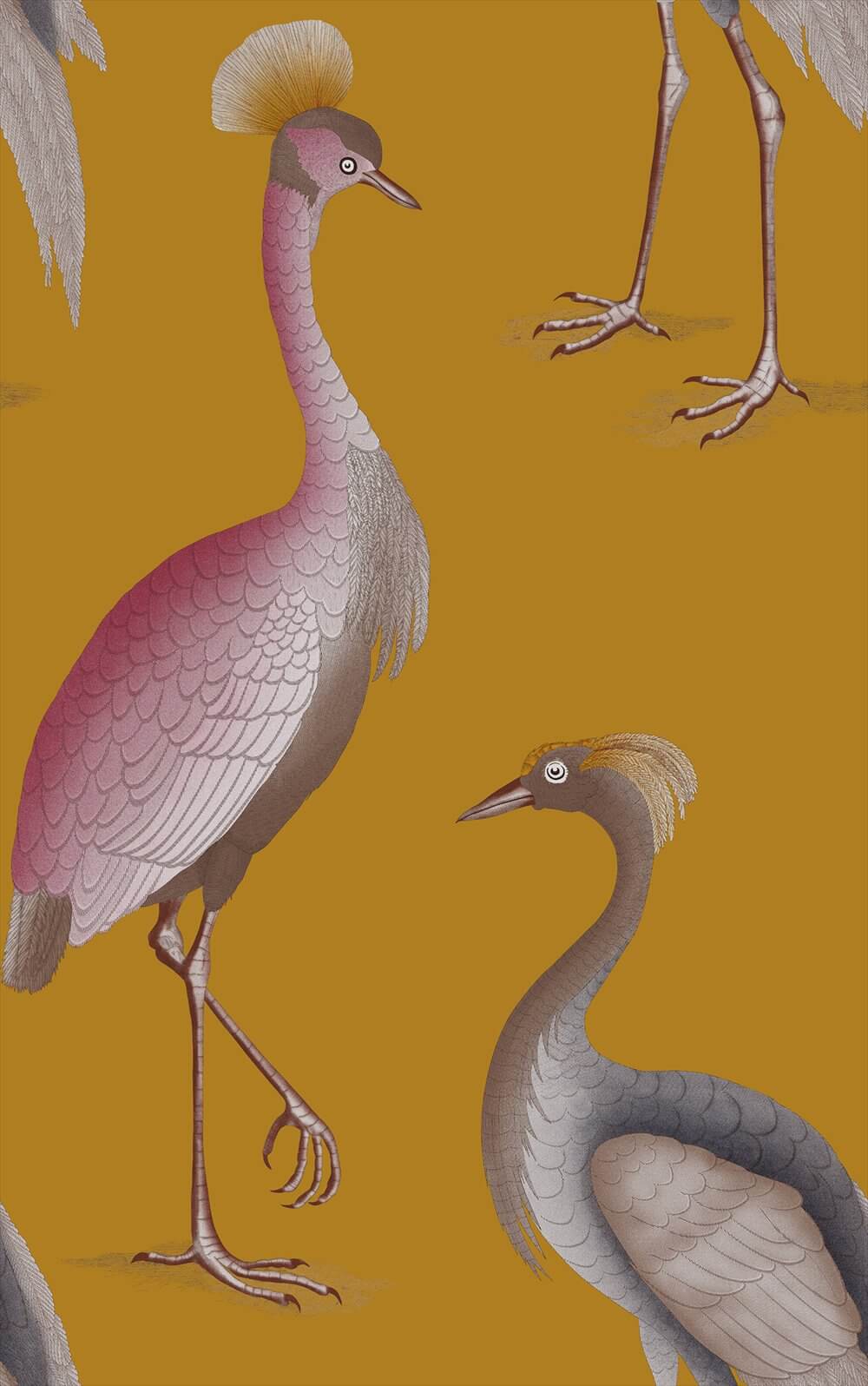 Garzas GDW-5773-004