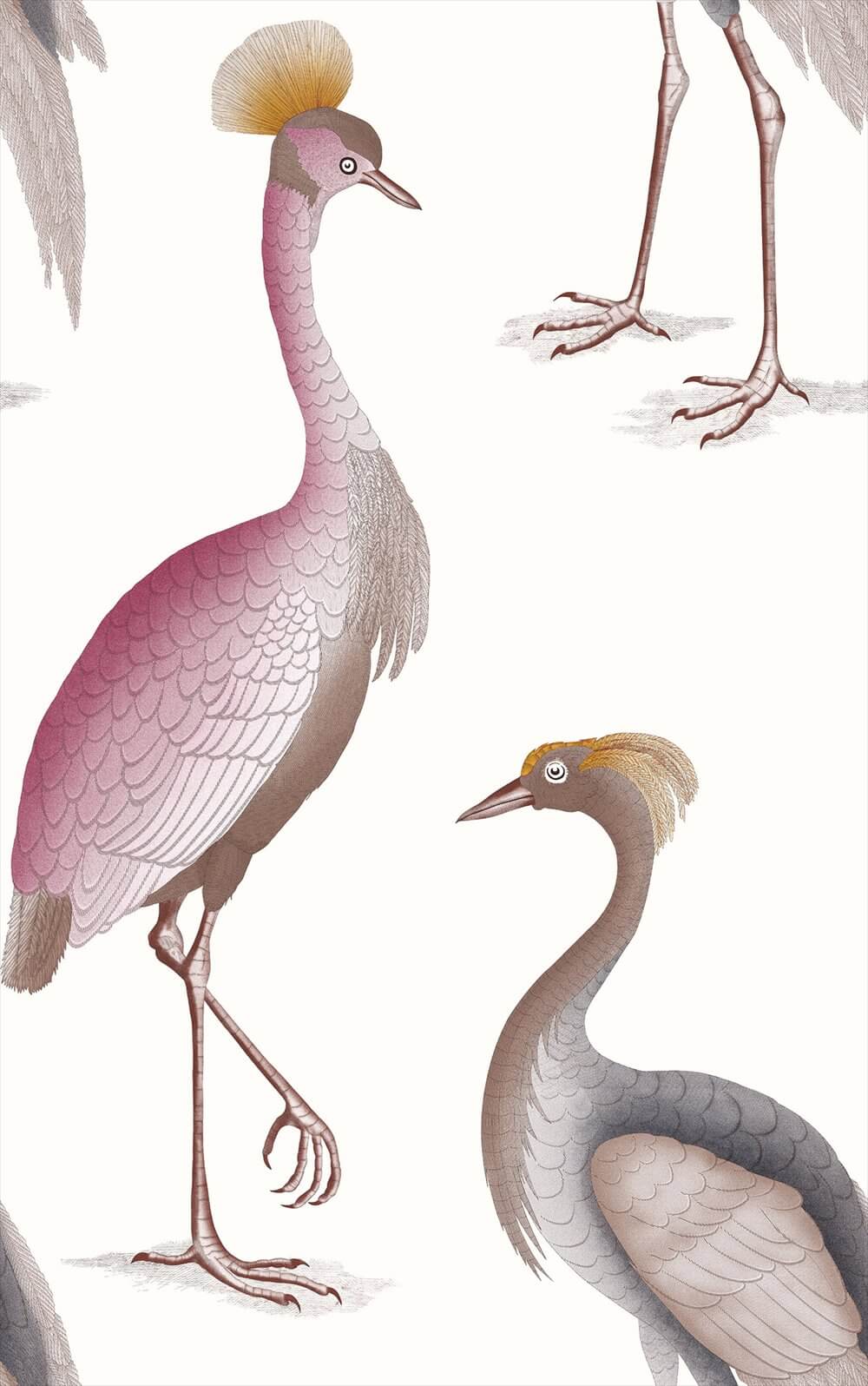 Garzas GDW-5773-007