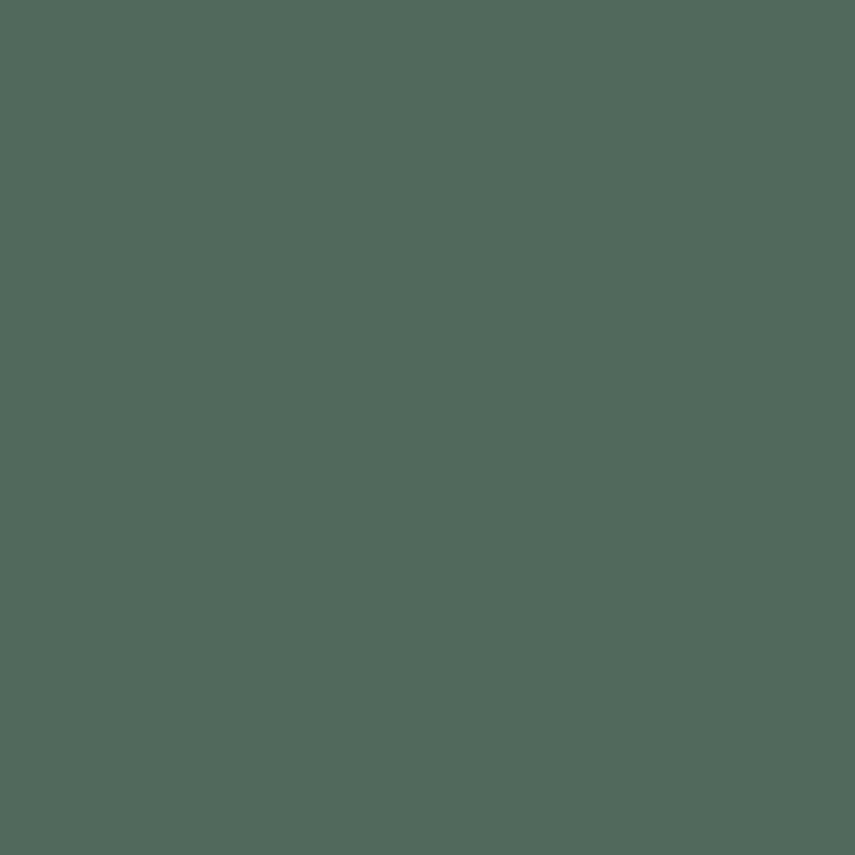Rase LCT-1180-015