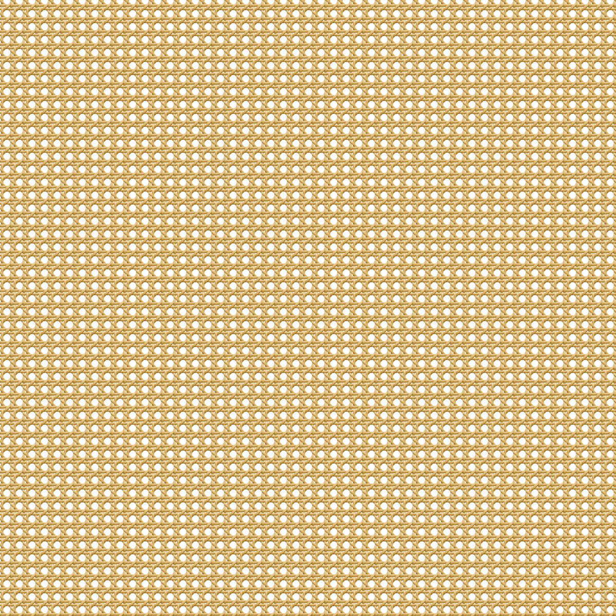 Sandy LCW-1088-001