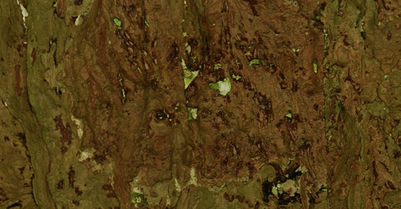 Gilded Cork GCO-124
