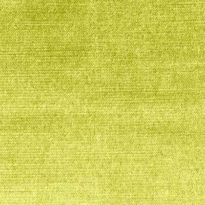 Ginger 10126-004