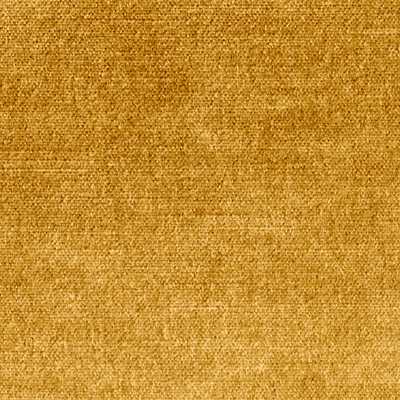 Ginger 10126-008
