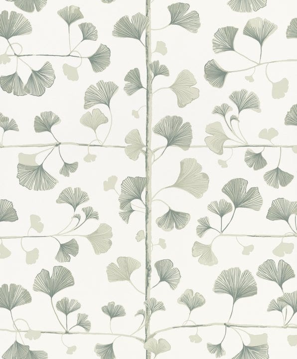 Ginkgo 803-18
