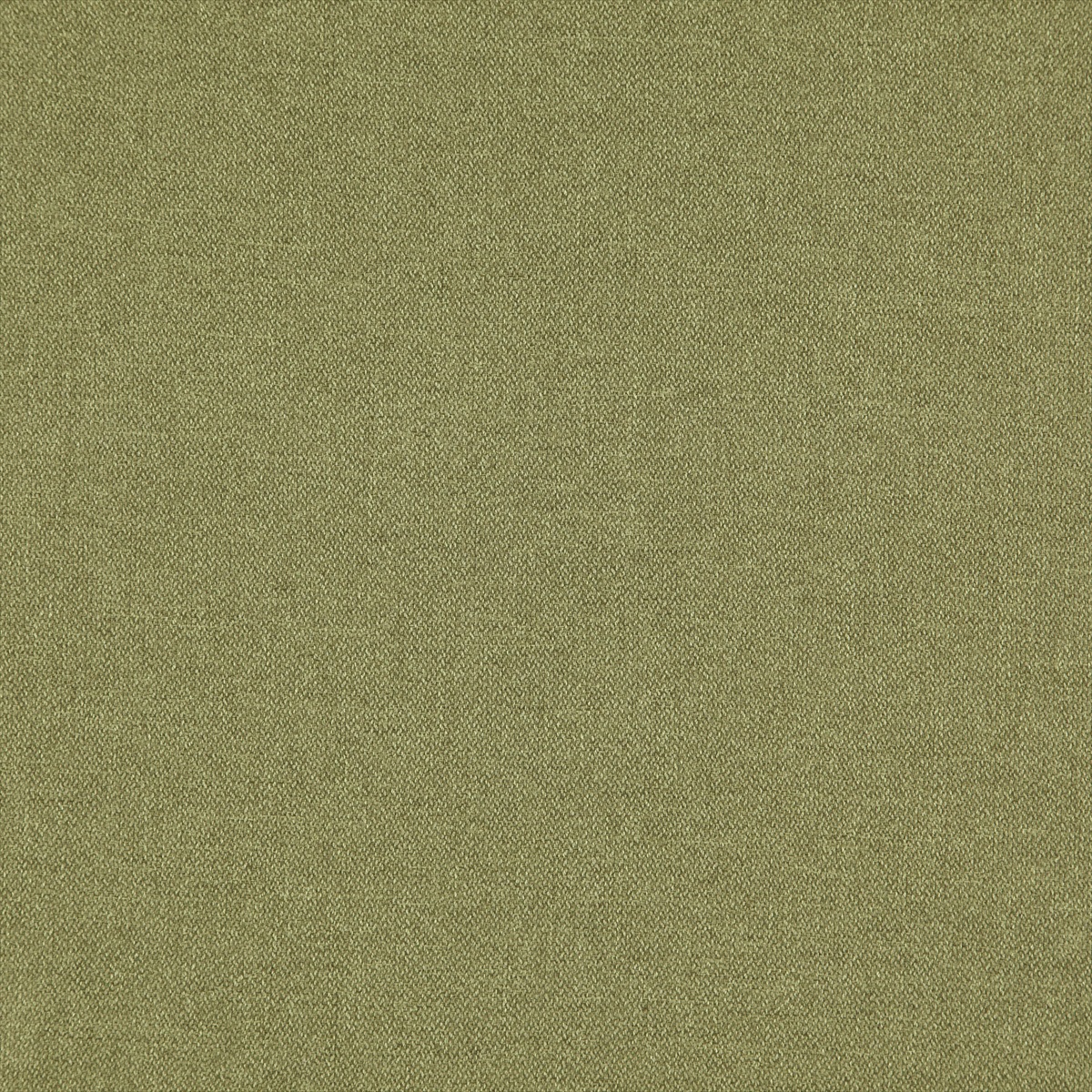 Glenmore 17 Moss