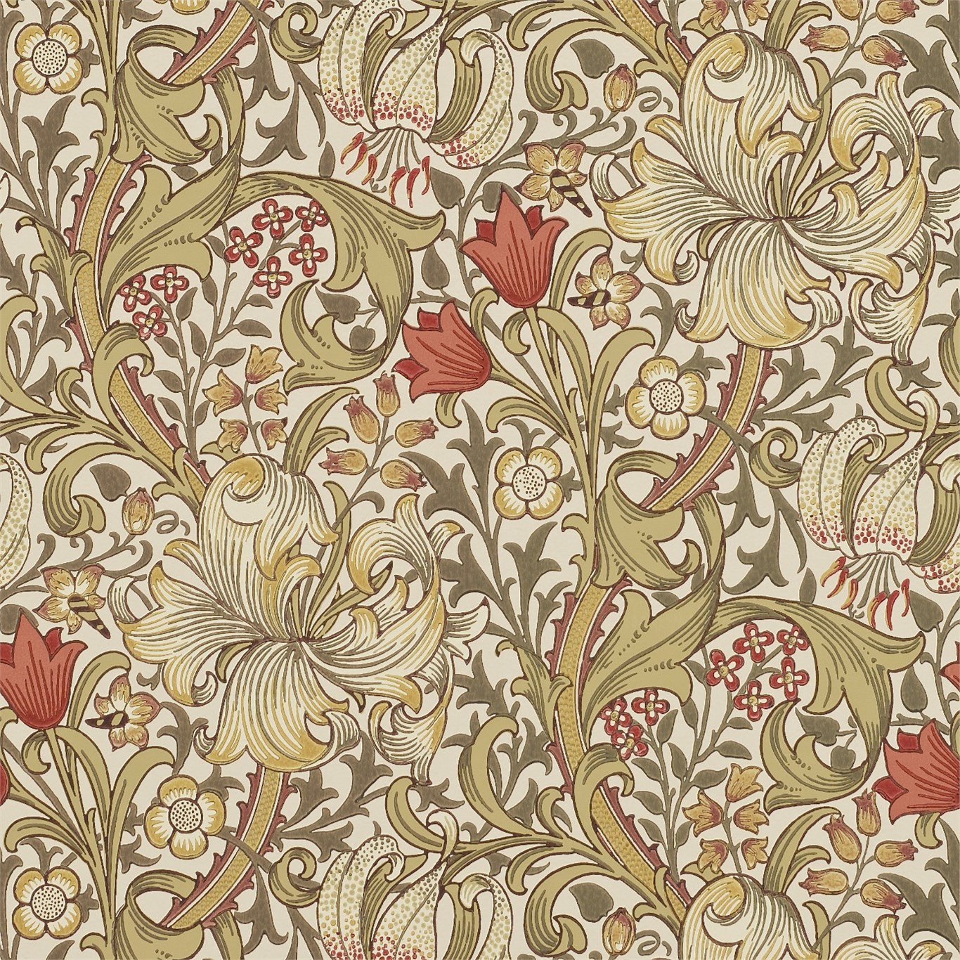 Golden Lily 210400