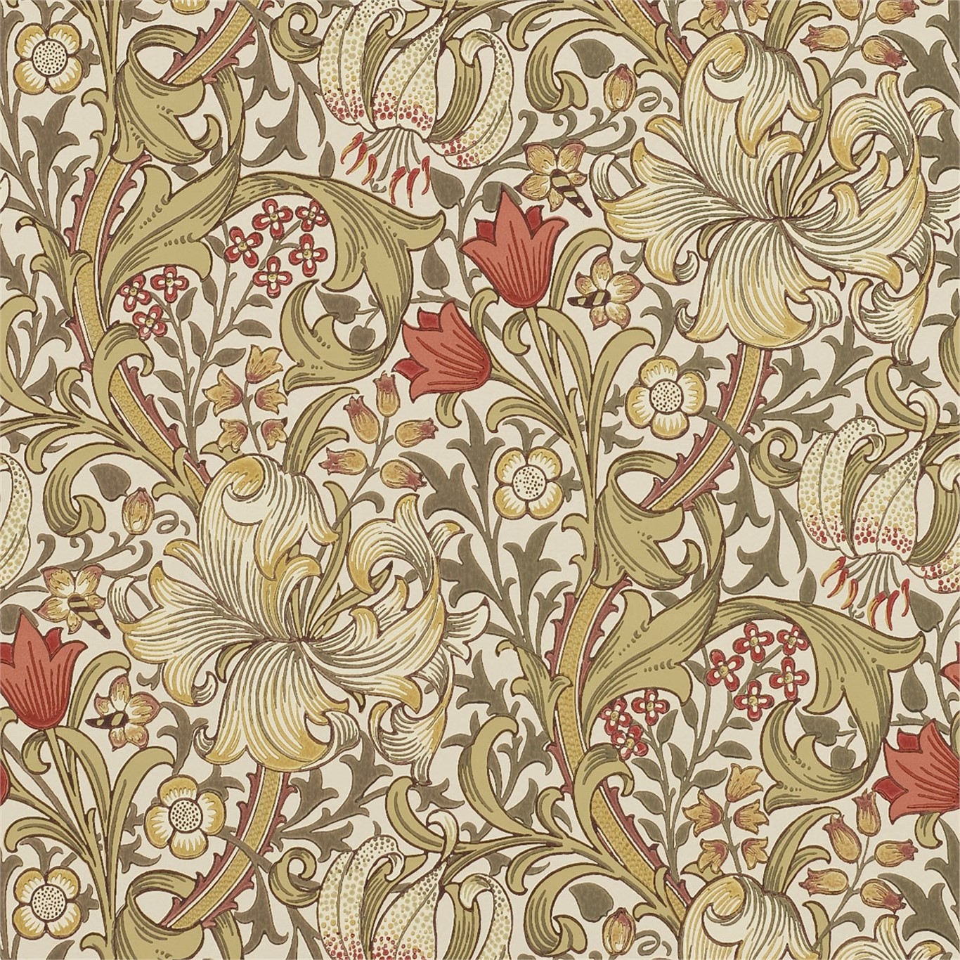 Golden Lily 216462