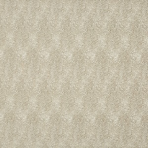 Gosford BF10581-230
