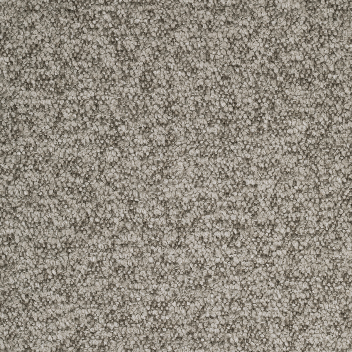 Baker House Boucle BF10965-240