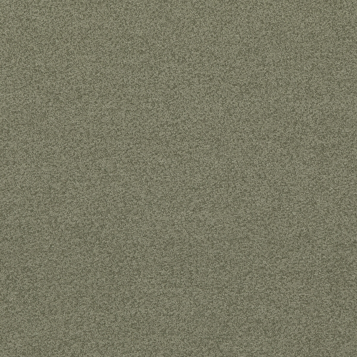 Baker House Boucle BF10965-790