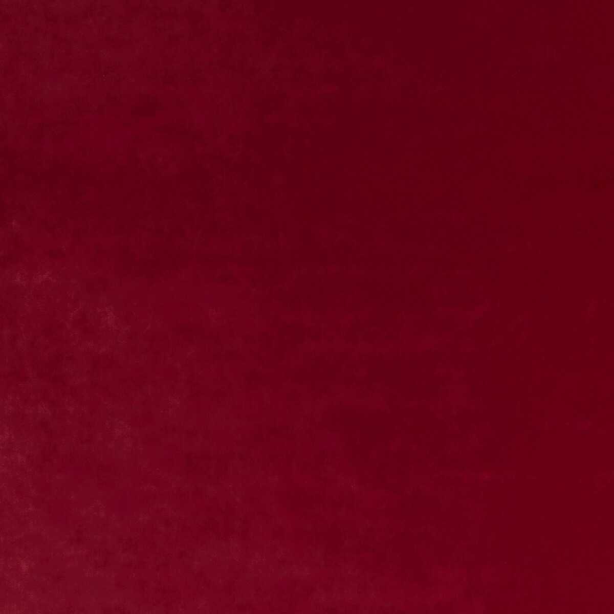 Court Velvet BF11090-480