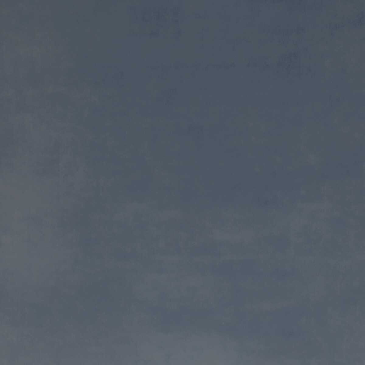 Court Velvet BF11090-610