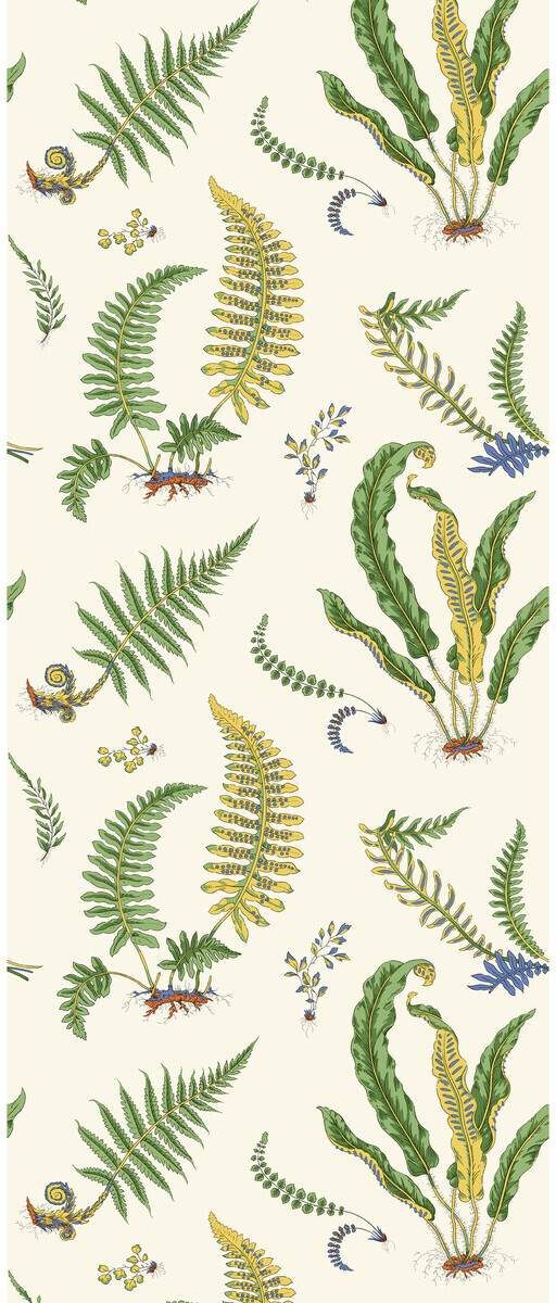 Ferns BW45122-1