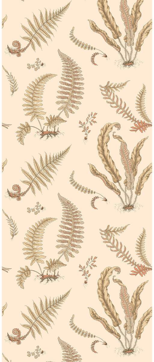Ferns BW45122-2