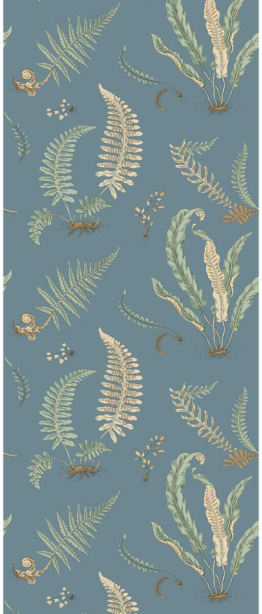 Ferns BW45122-3