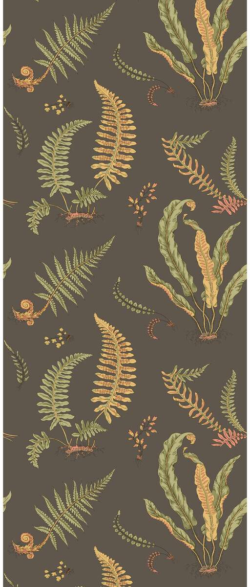 Ferns BW45122-5