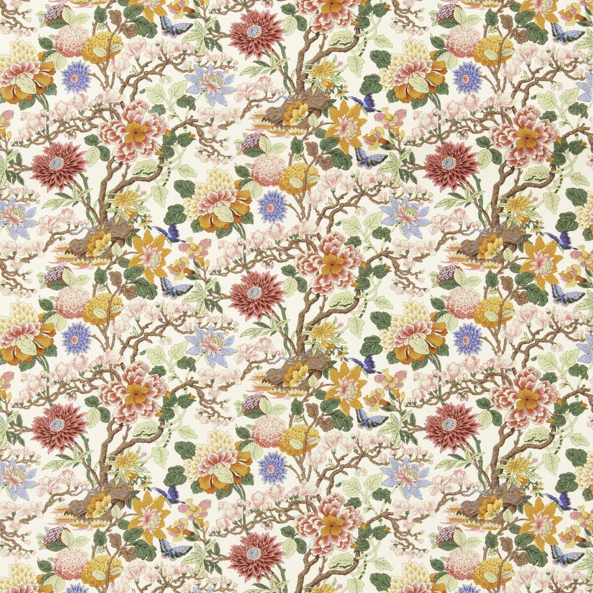 Little Magnolia BP11075-4