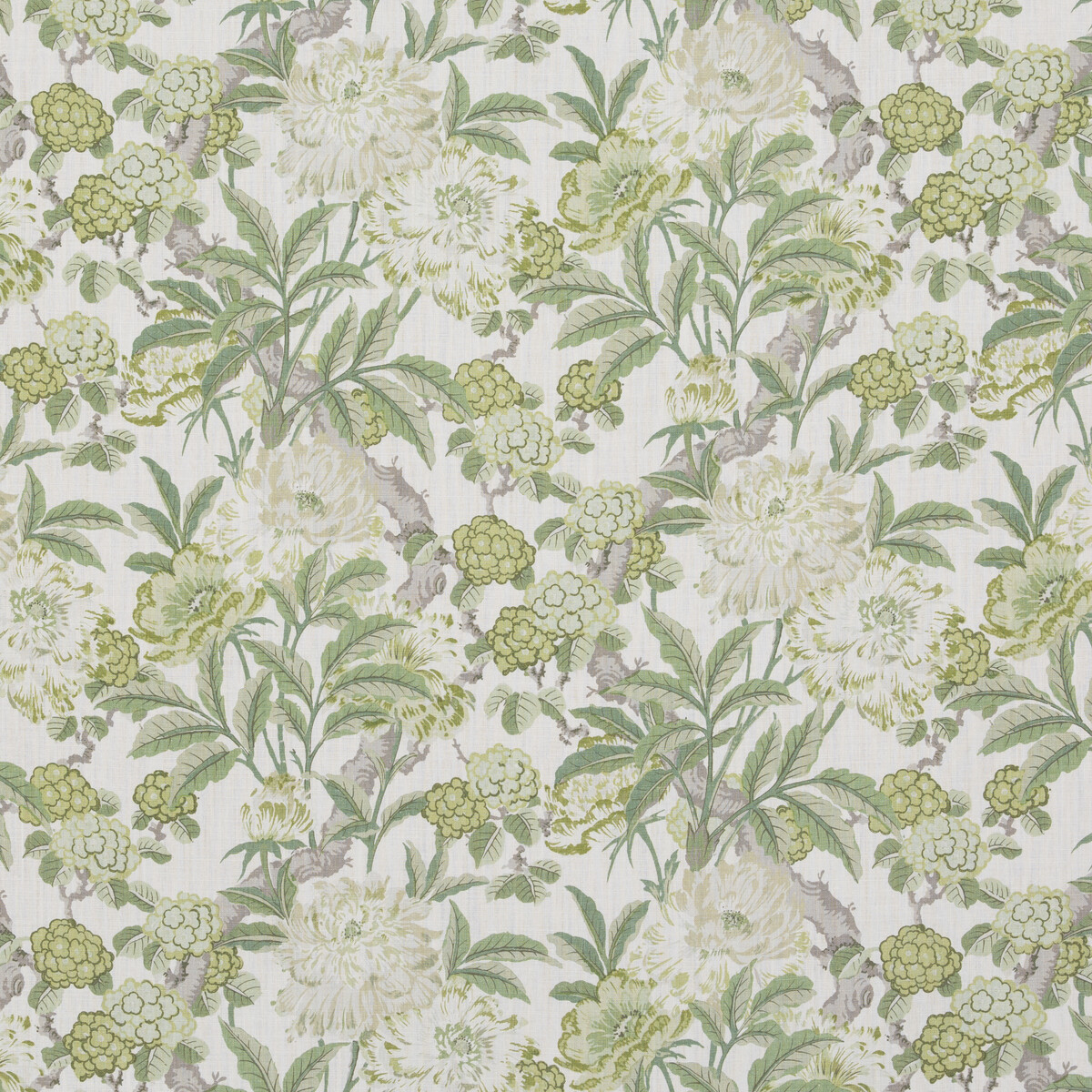 Summer Peony BP10950-3