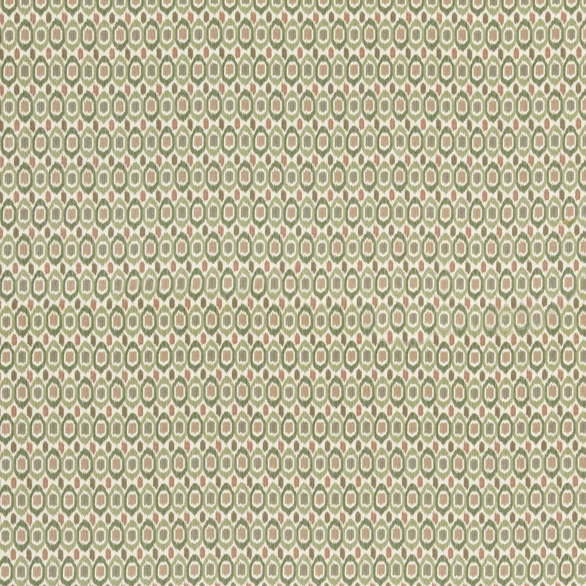 Tigris BP11077-3