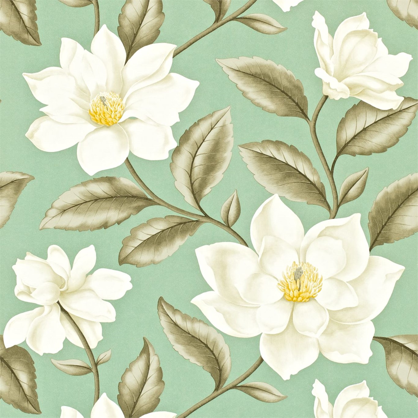 Grandiflora DAPGGR103