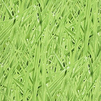 Grassy Meadow 16 Moss