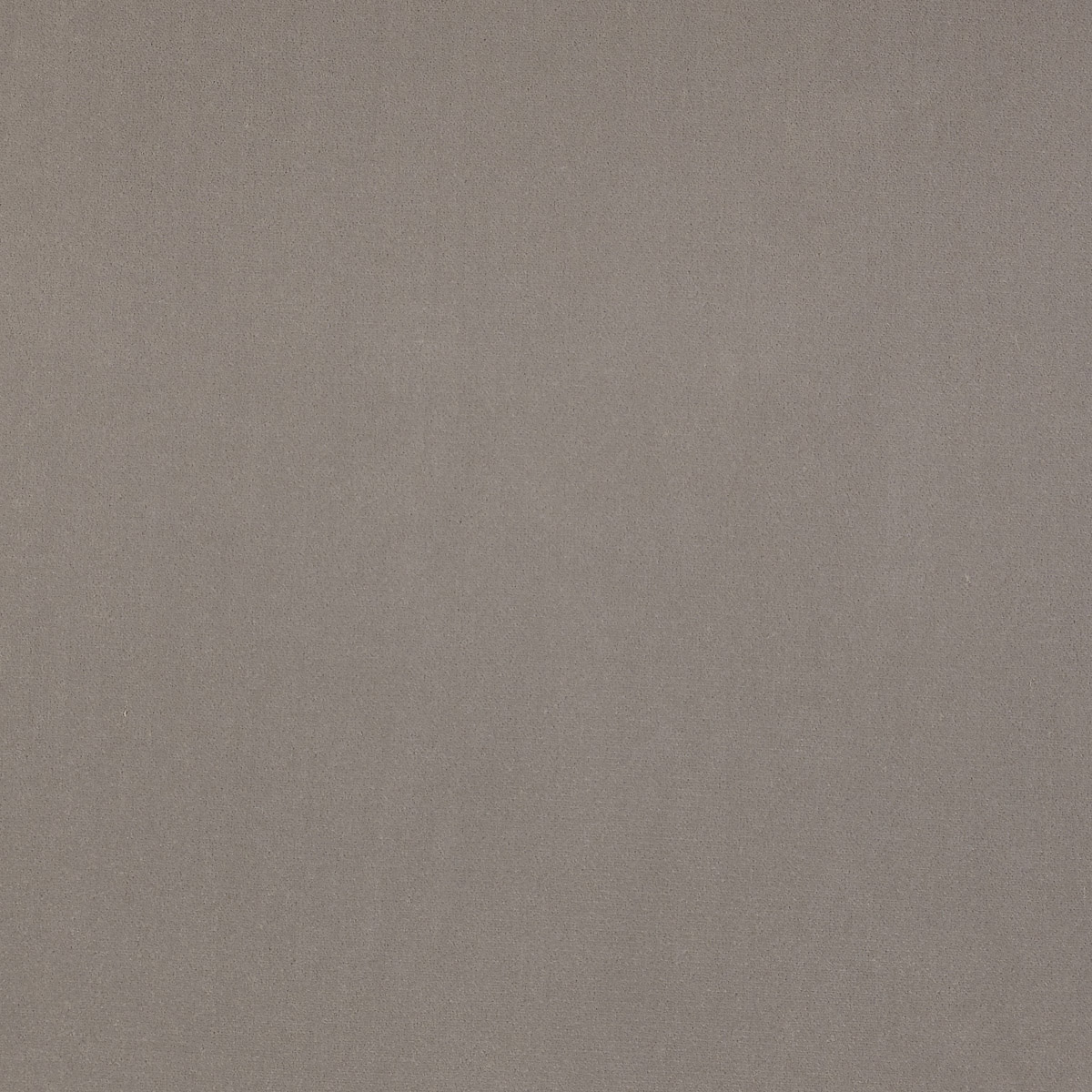 Guru 29