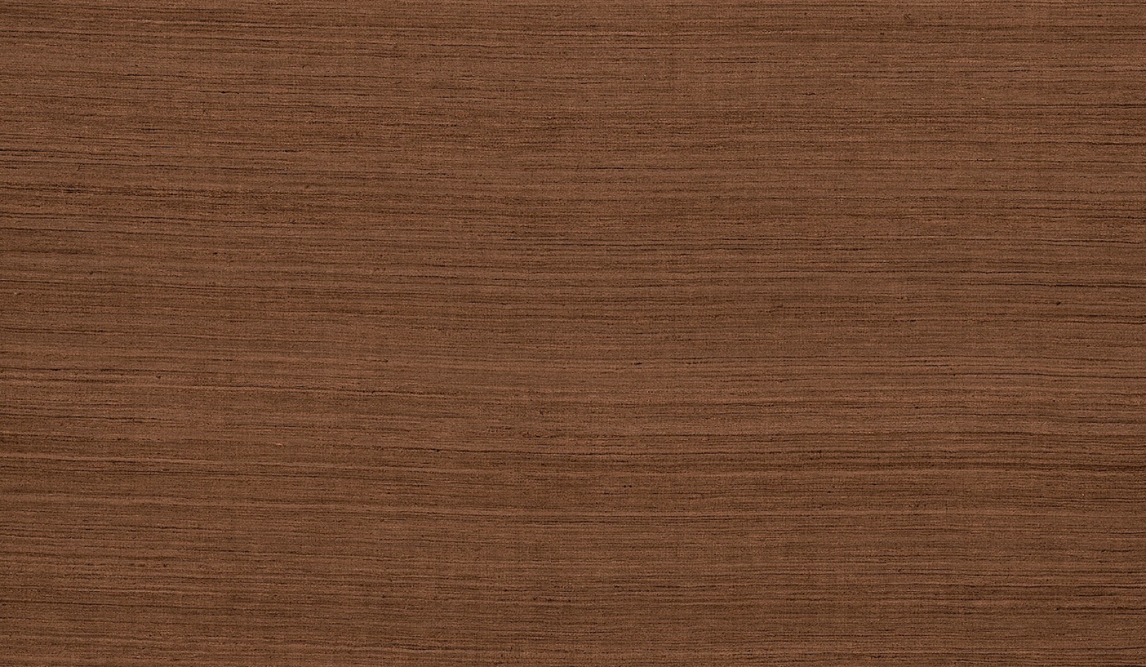 Cocoon BLONE807