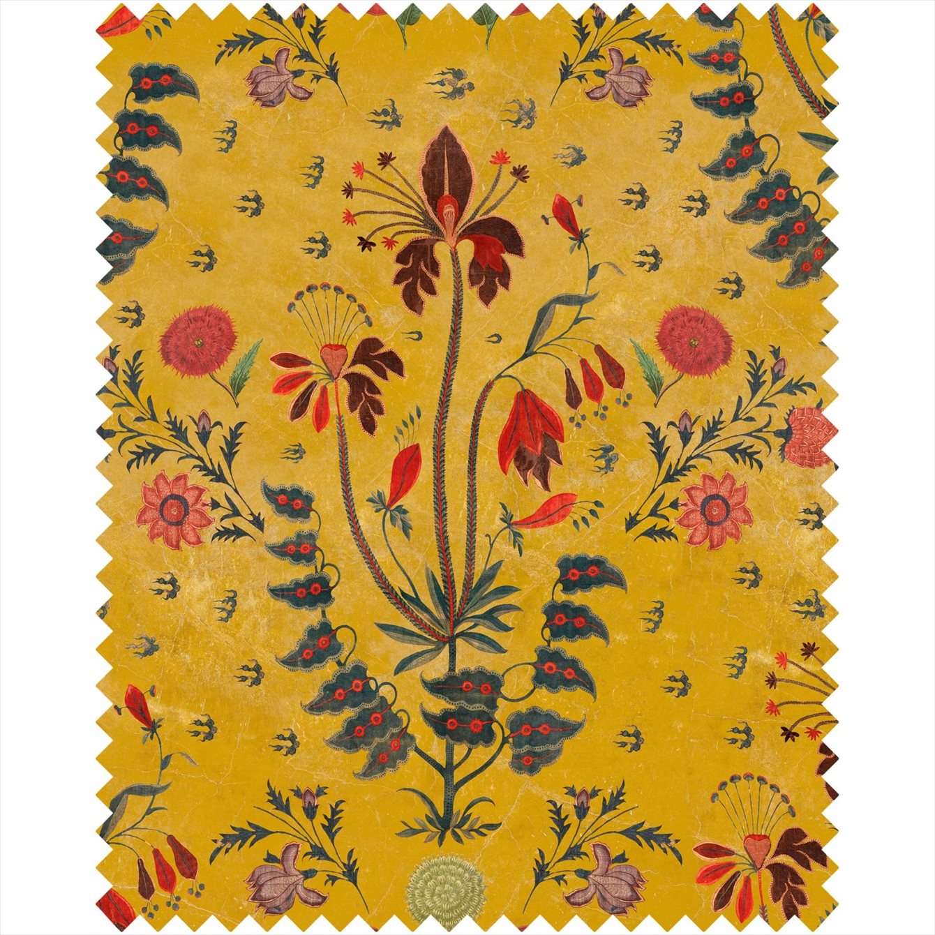 Gypsy Ochre FB00002