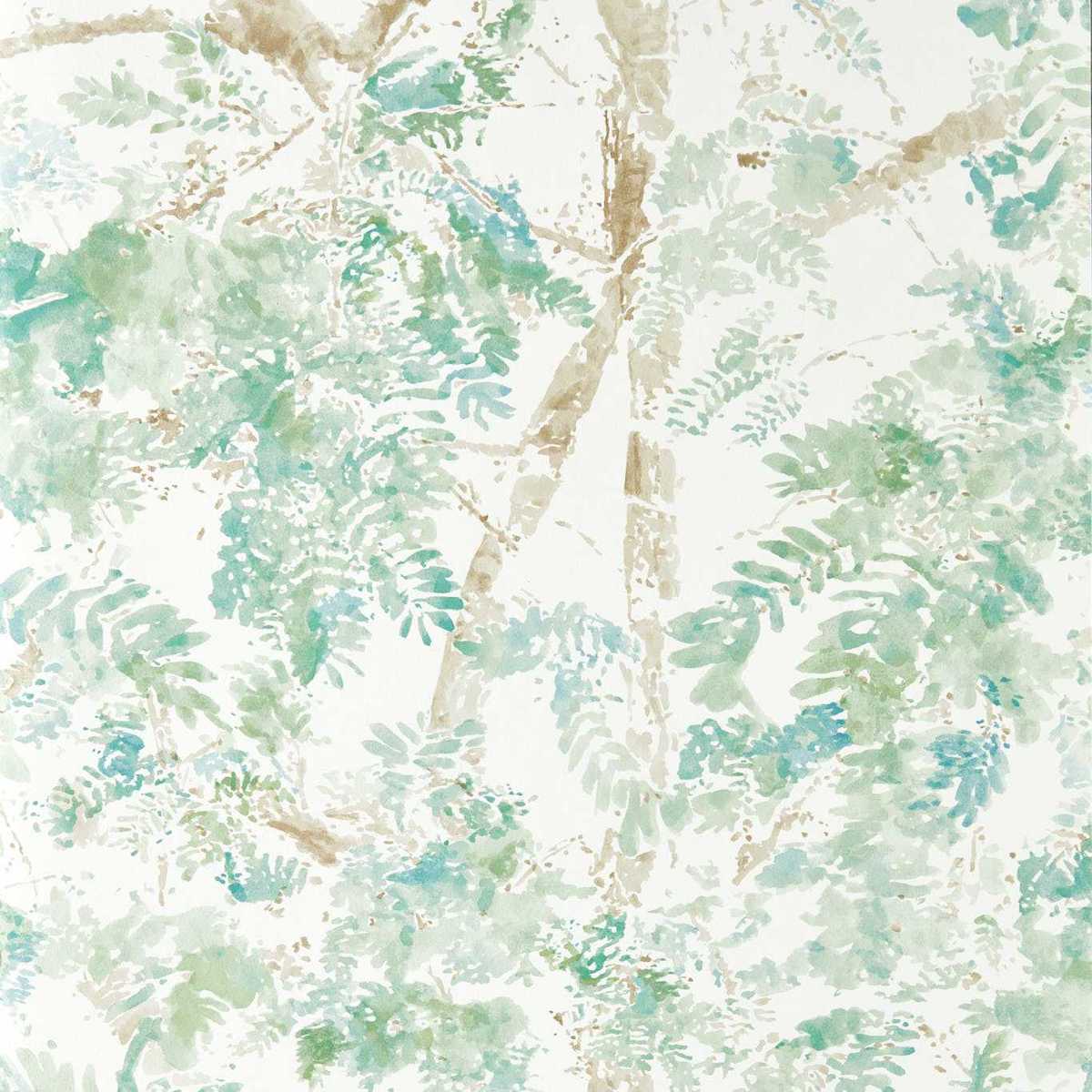 Ceiba 113342