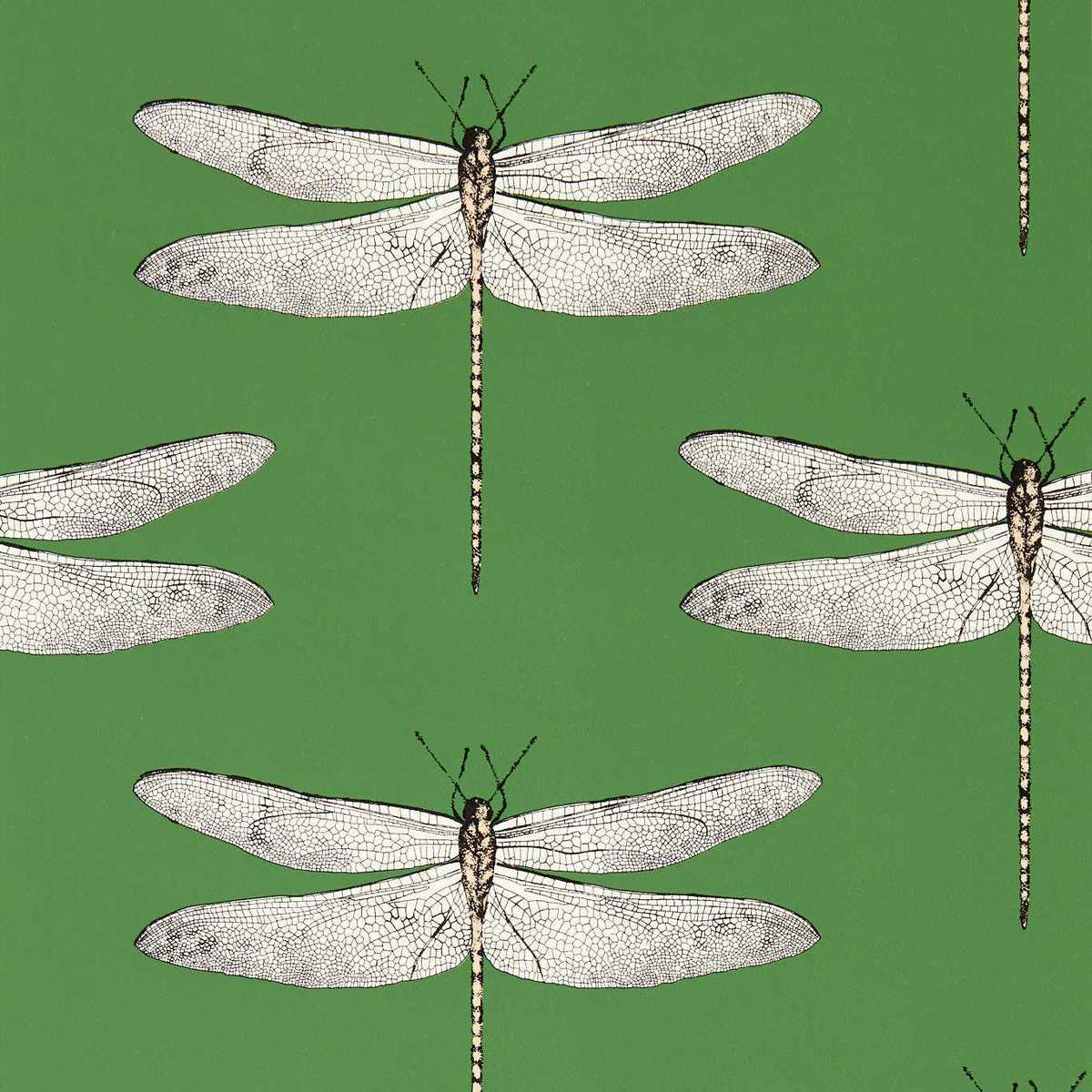 Demoiselle 113143