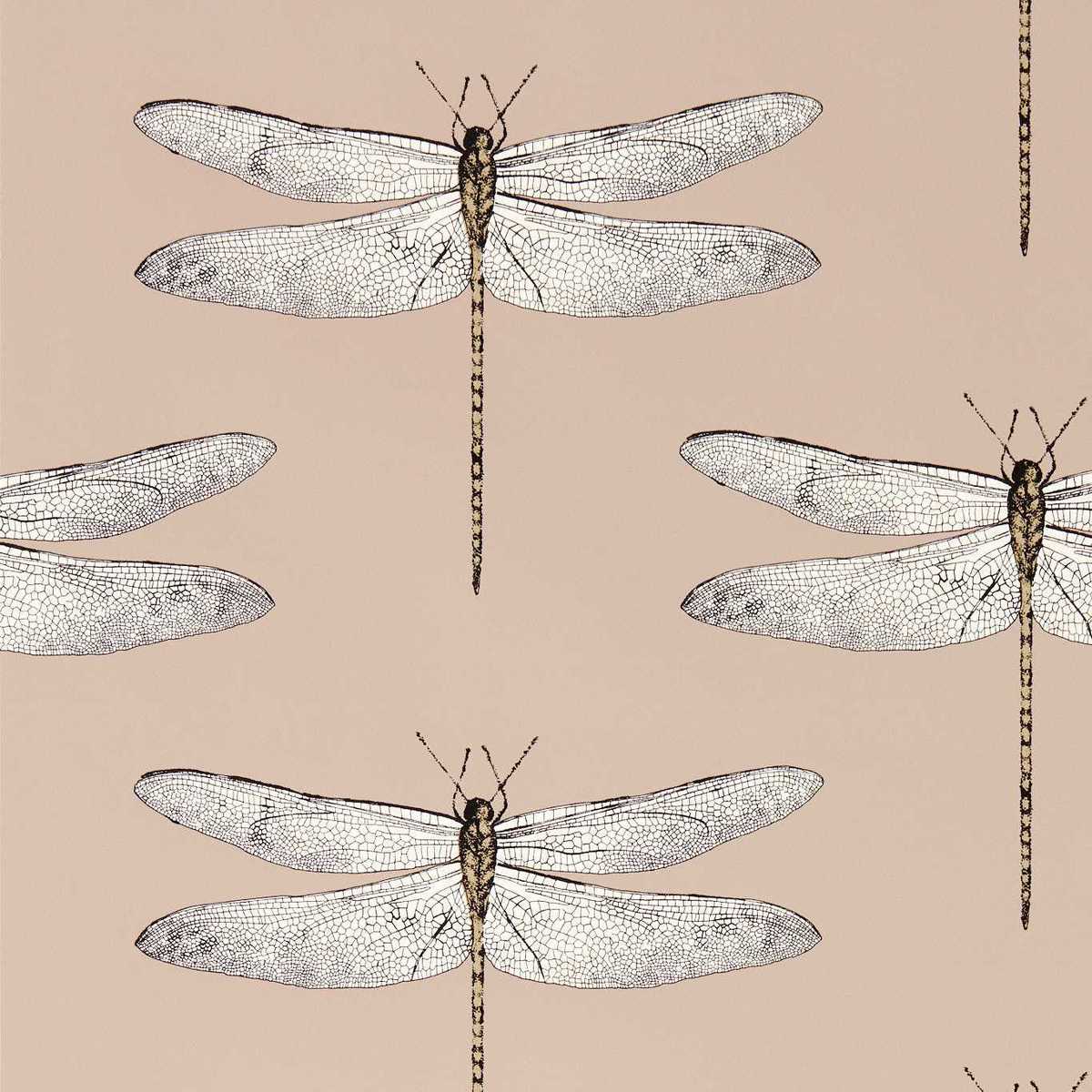 Demoiselle 113142
