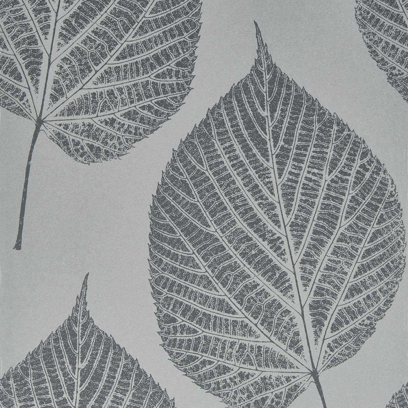 Leaf 112608