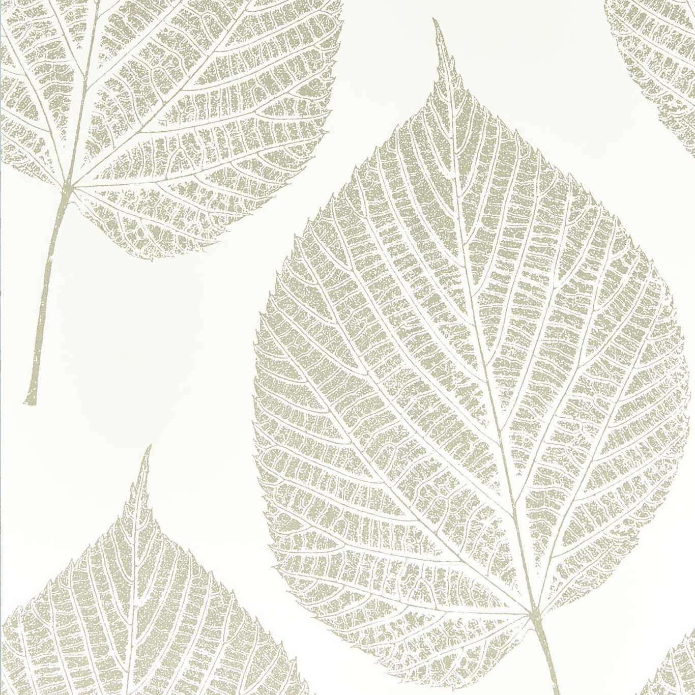 Leaf 112609