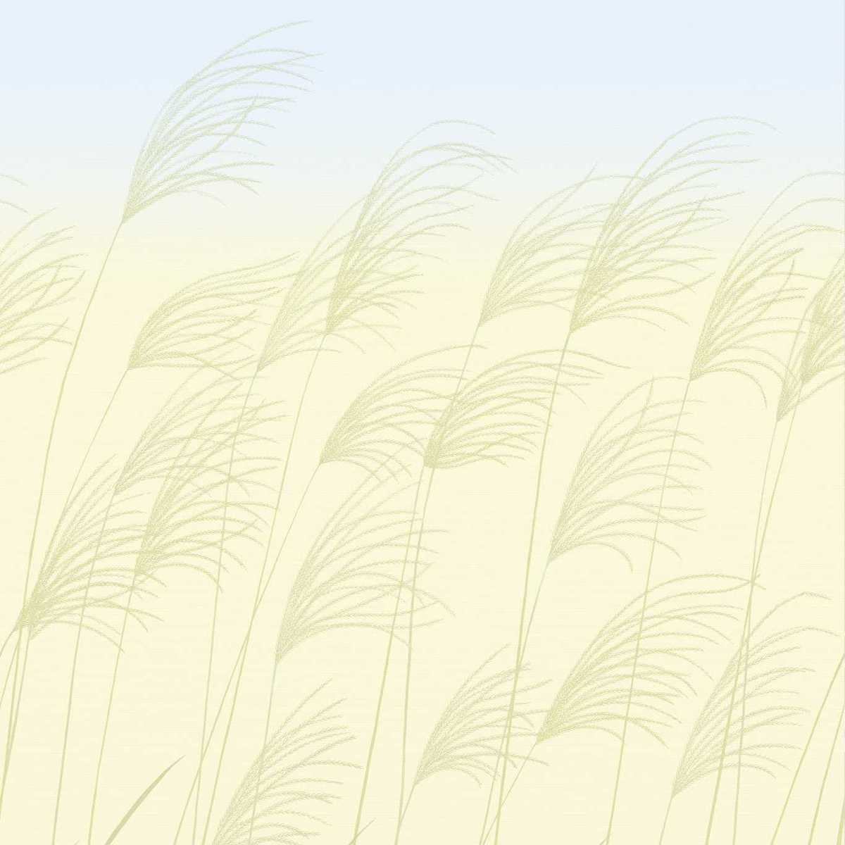 Miscanthus 113230