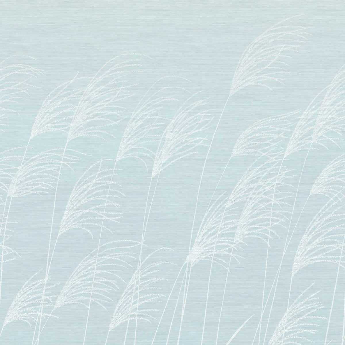 Miscanthus 113232