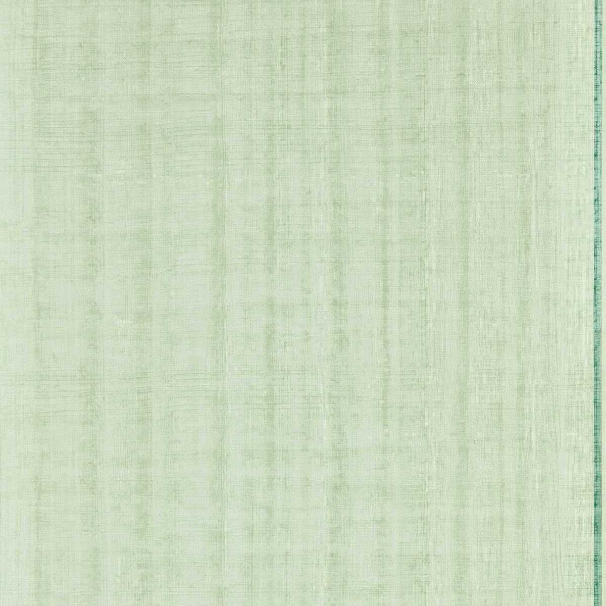Papyrus 113197