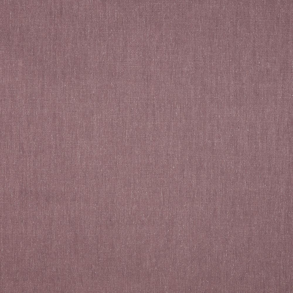 Healey Allium