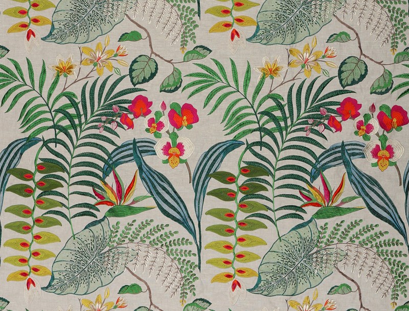 Heliconia Dreamin 3635-01