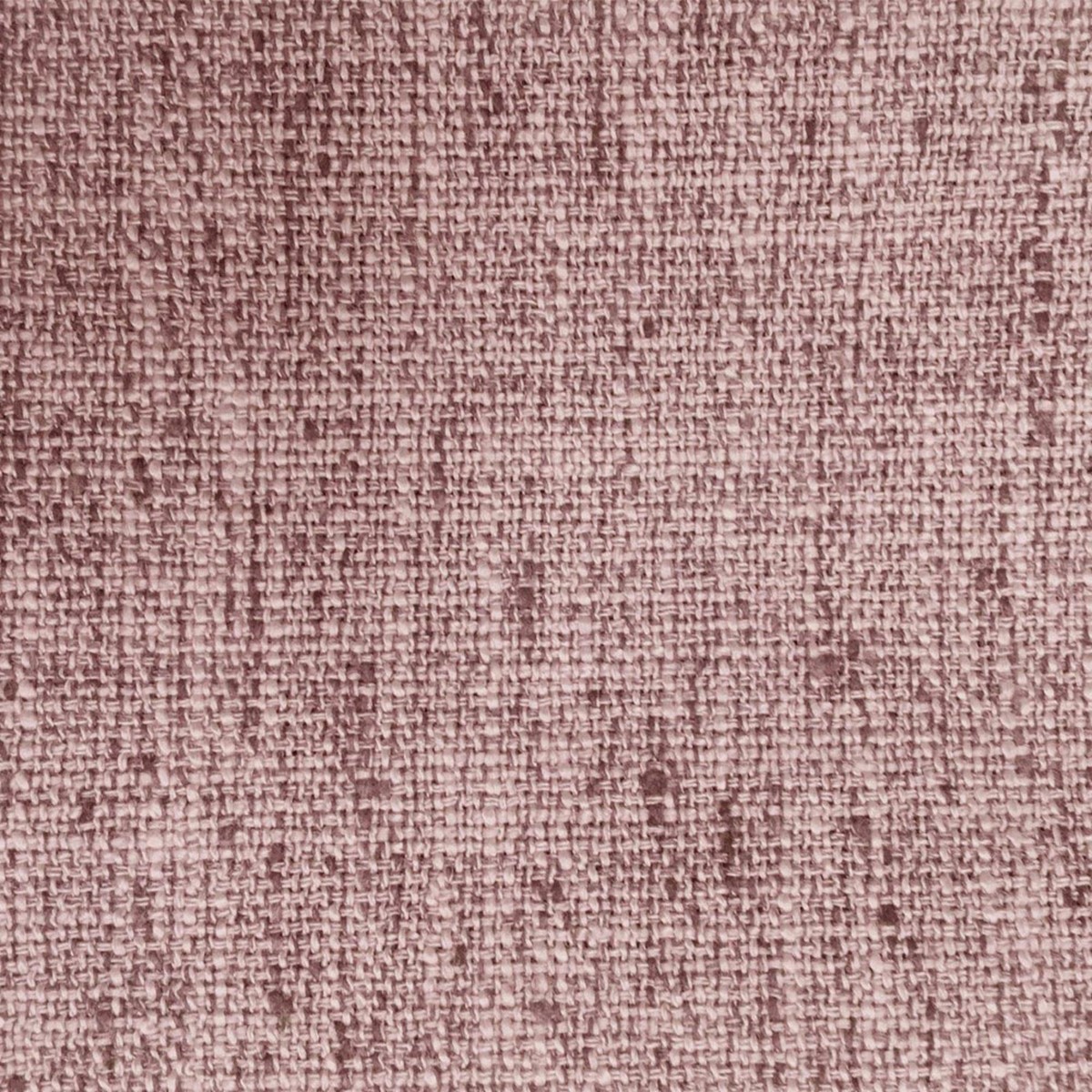 Helmsley Petal