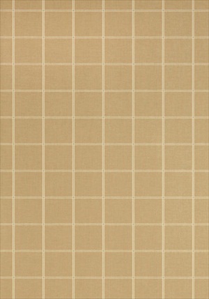 Henley Plaid 839-T-1021