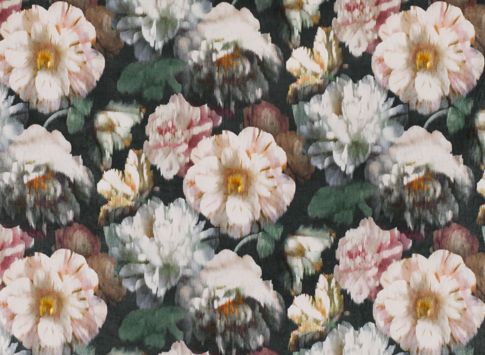 Herbaria Malva 9040-01