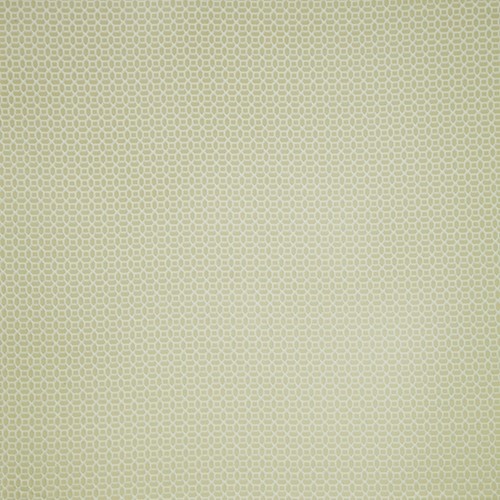 Honeycomb Willow