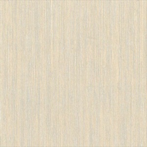 Horizons HOR4001