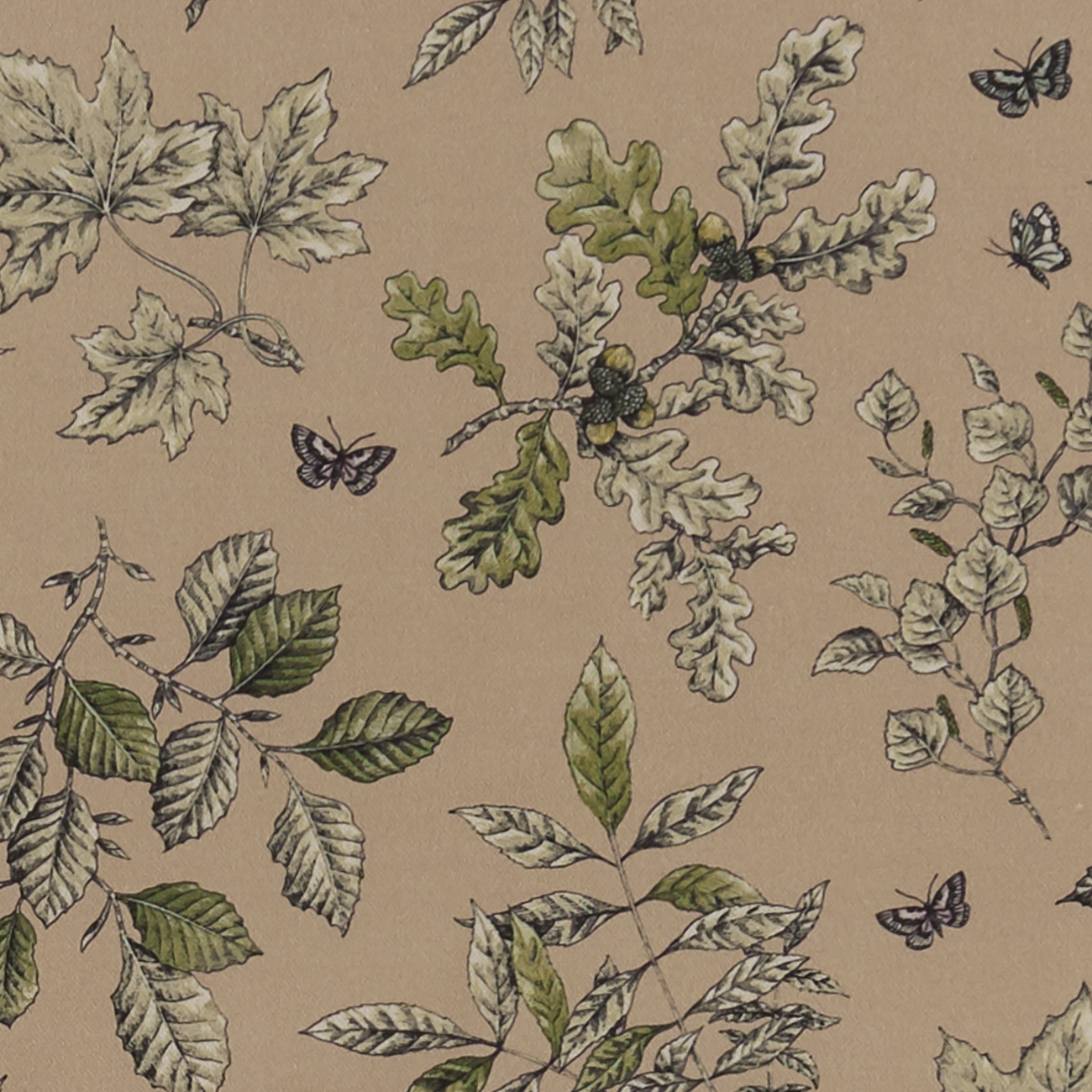 Hortus F1329-01
