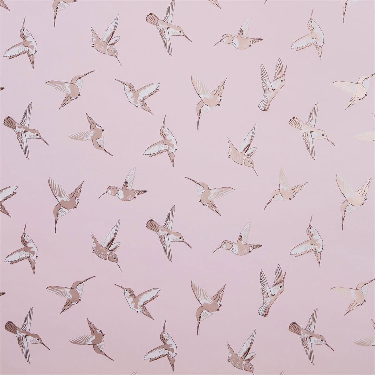Hummingbird W0109-01