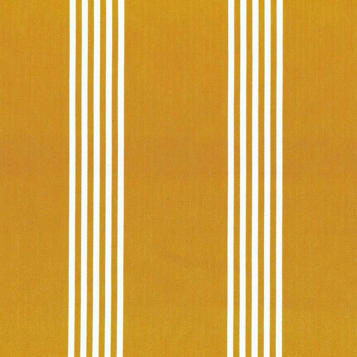 Canvas Stripe FA367-181