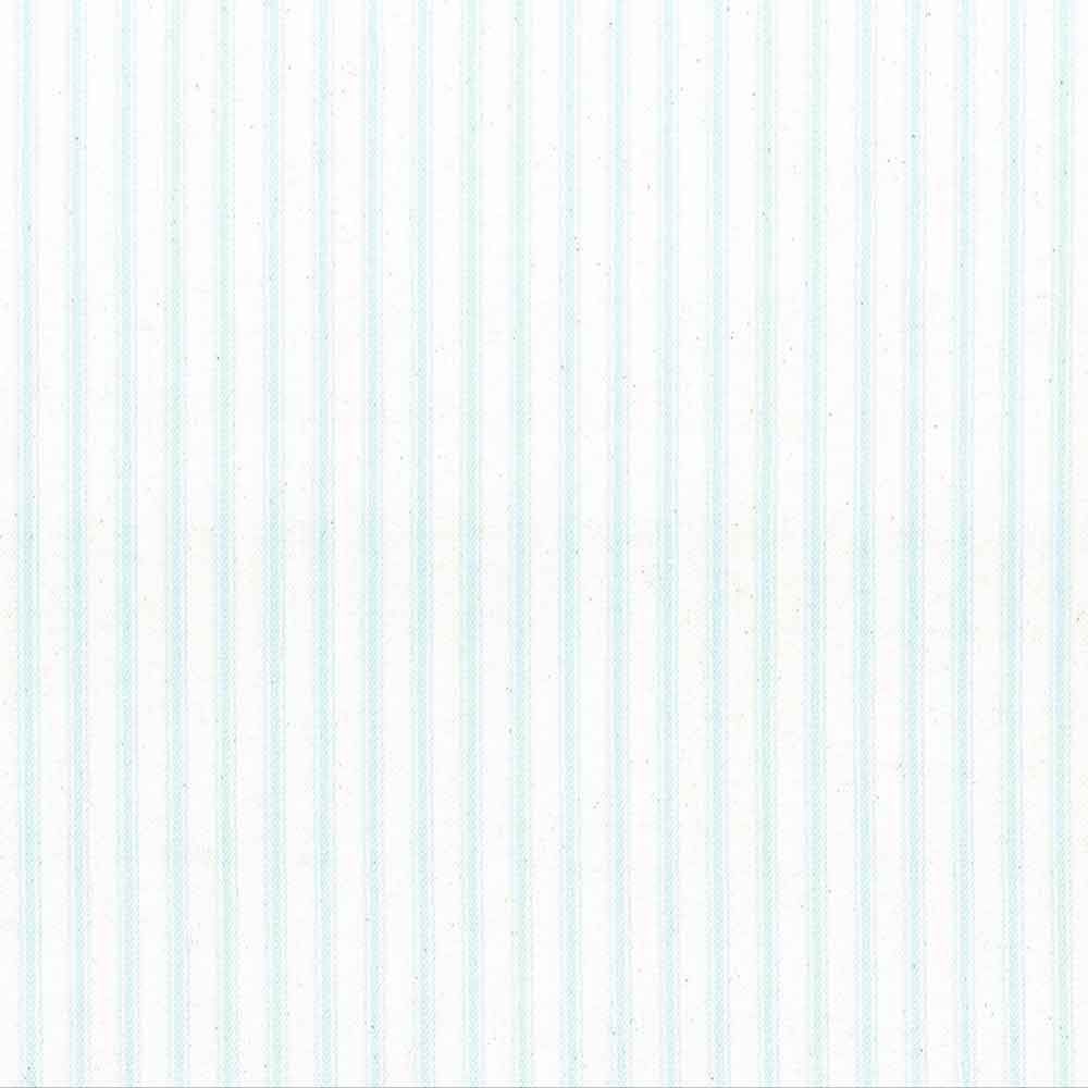 Ticking Stripe 1 FA044-109