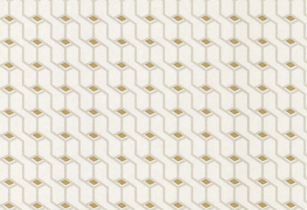Icon 76050