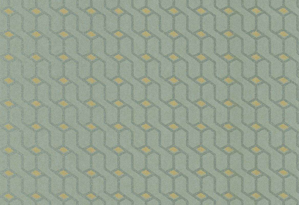 Icon 76051
