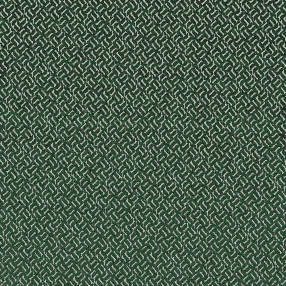 Apollo Evergreen